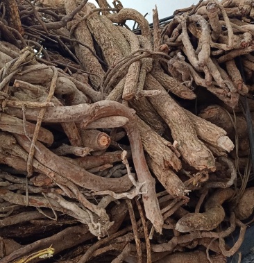 [乌骨藤批发]血藤价格3.00元/斤 - 一亩田