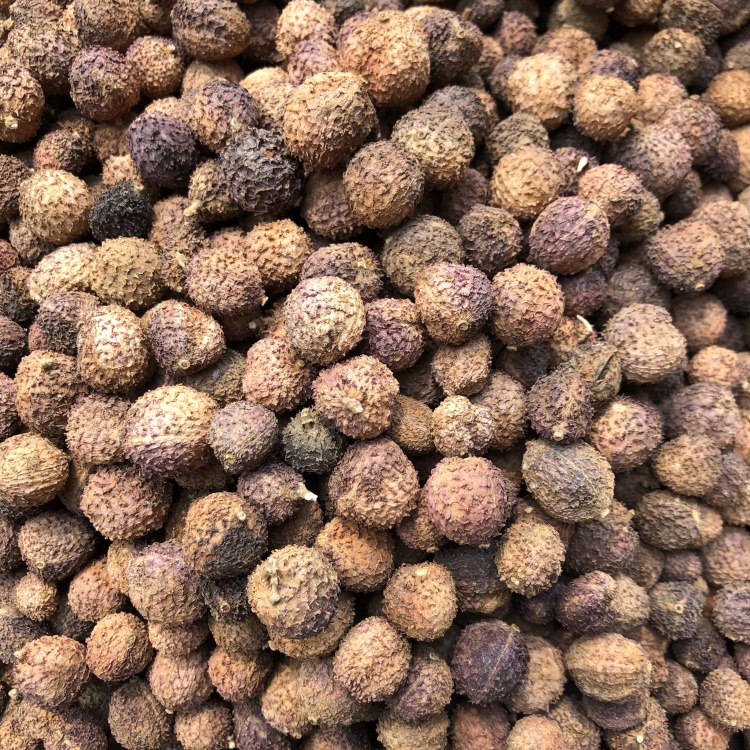 阳春砂一公斤起批国产砂仁壳砂仁大货批发