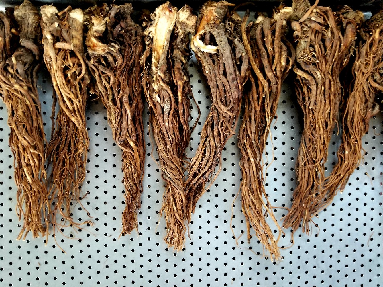 胡椒根在中药材市场的销售场景