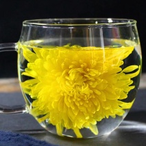2019金丝黄菊干菊花茶