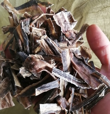 地龙广地龙野生全开地龙