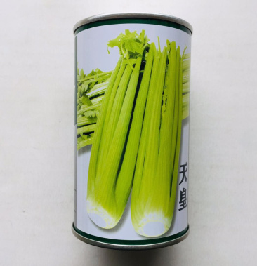 天皇西芹种子芹菜种子耐寒耐热色泽黄亮美芹法芹杂交种子