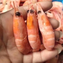 北极虾
