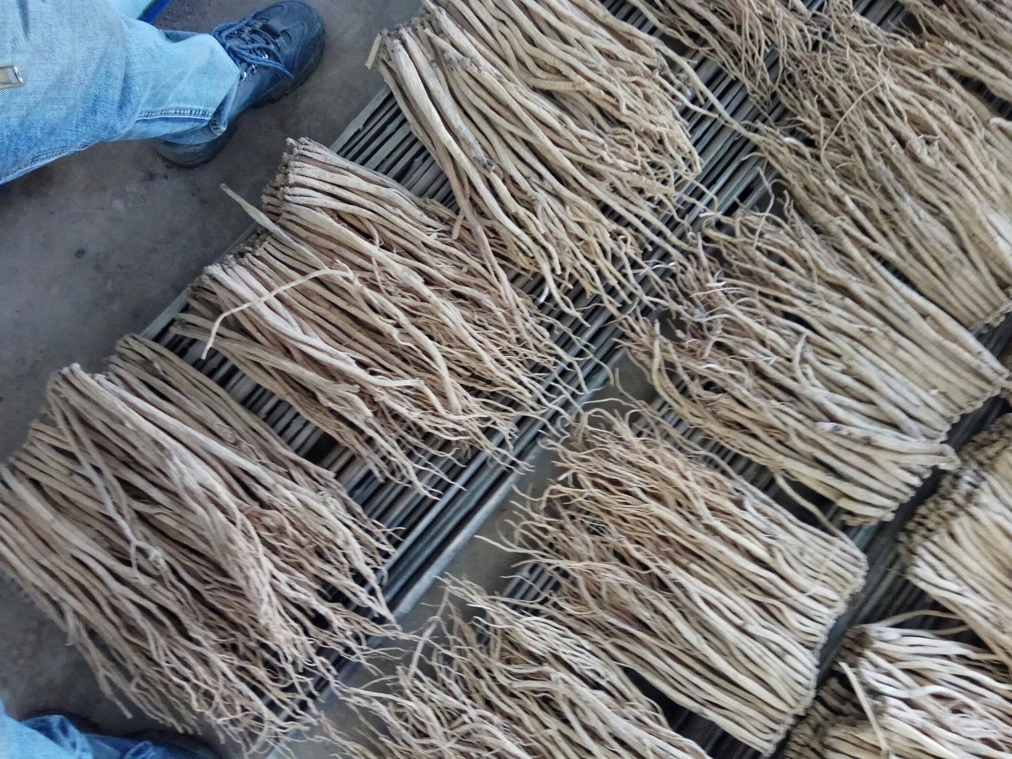沙参槐系列加工产品展示图,包含药材、茶饮、提取物等形式 沙参槐系列产品展示图