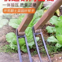 唐唐家用全钢长把二齿锄头两用挖土开荒种菜开垦种地