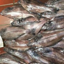 鲽鱼（比目鱼）