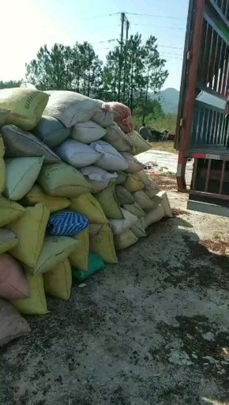 莲壳粉碎莲子壳干莲子壳莲子壳