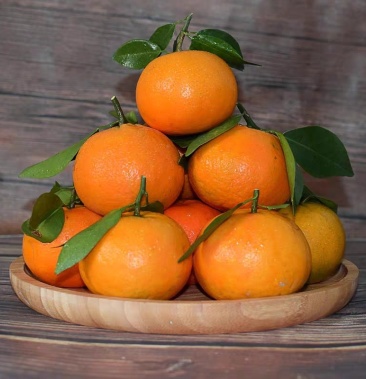 新鲜沃柑甘甜多汁当季水果