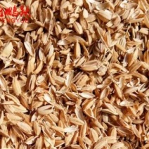 现货直发无粉尘颗粒均匀牲畜饲料压缩稻壳养殖垫料优质稻糠大