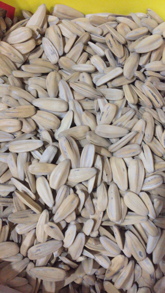 [葵花籽批发]全新中白,大白,箱装特大白葵花籽价格5.00元/斤 - 一亩田