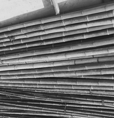 各种元竹,毛竹,养殖大棚棚用竹竿