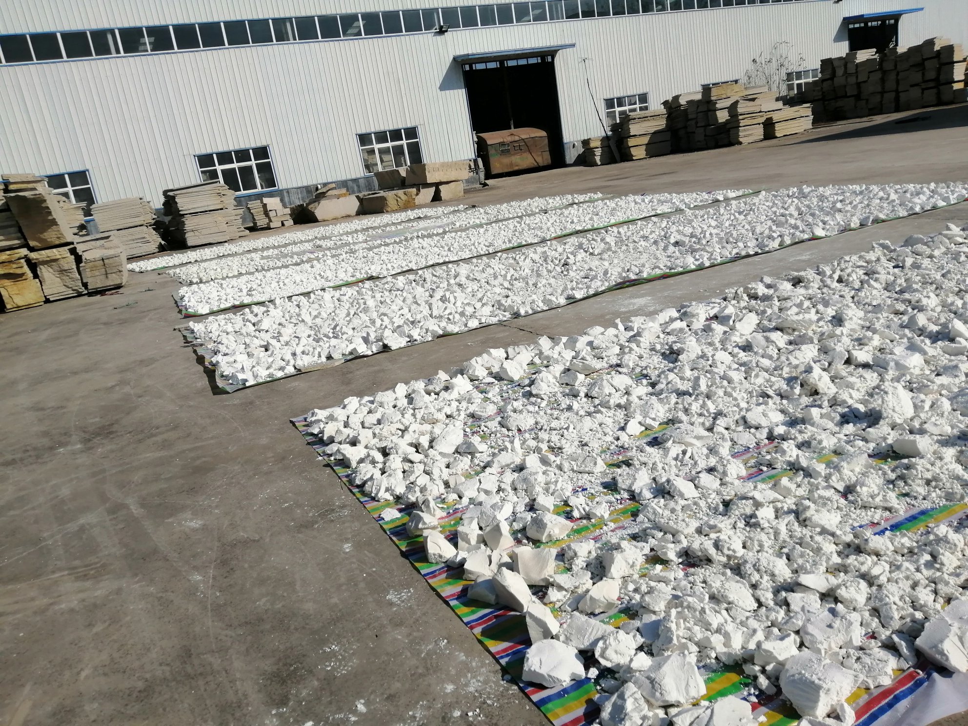 一名科研人员在实验室操作近红外光谱仪检测甘薯样品,桌上摆放多个编号的甘薯切片样本,仪器屏幕上显示淀粉含量百分比数据,背景有‘山东省农科院甘薯研究所’标识牌 实验室检测甘薯淀粉含量场景