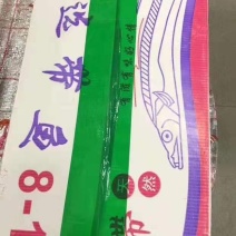 刀鱼
