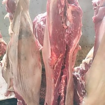 驴肉批发