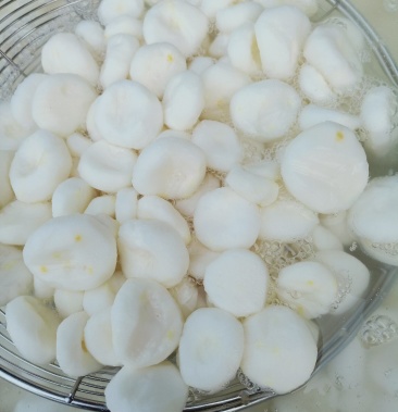 特级精品去皮白马蹄荸荠生鲜品