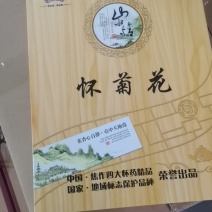 【河南焦作正宗怀菊花】礼盒包装