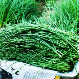 [沙葱批发]内蒙古天然污染沙葱野生沙葱价格5.00元/斤 - 一亩田