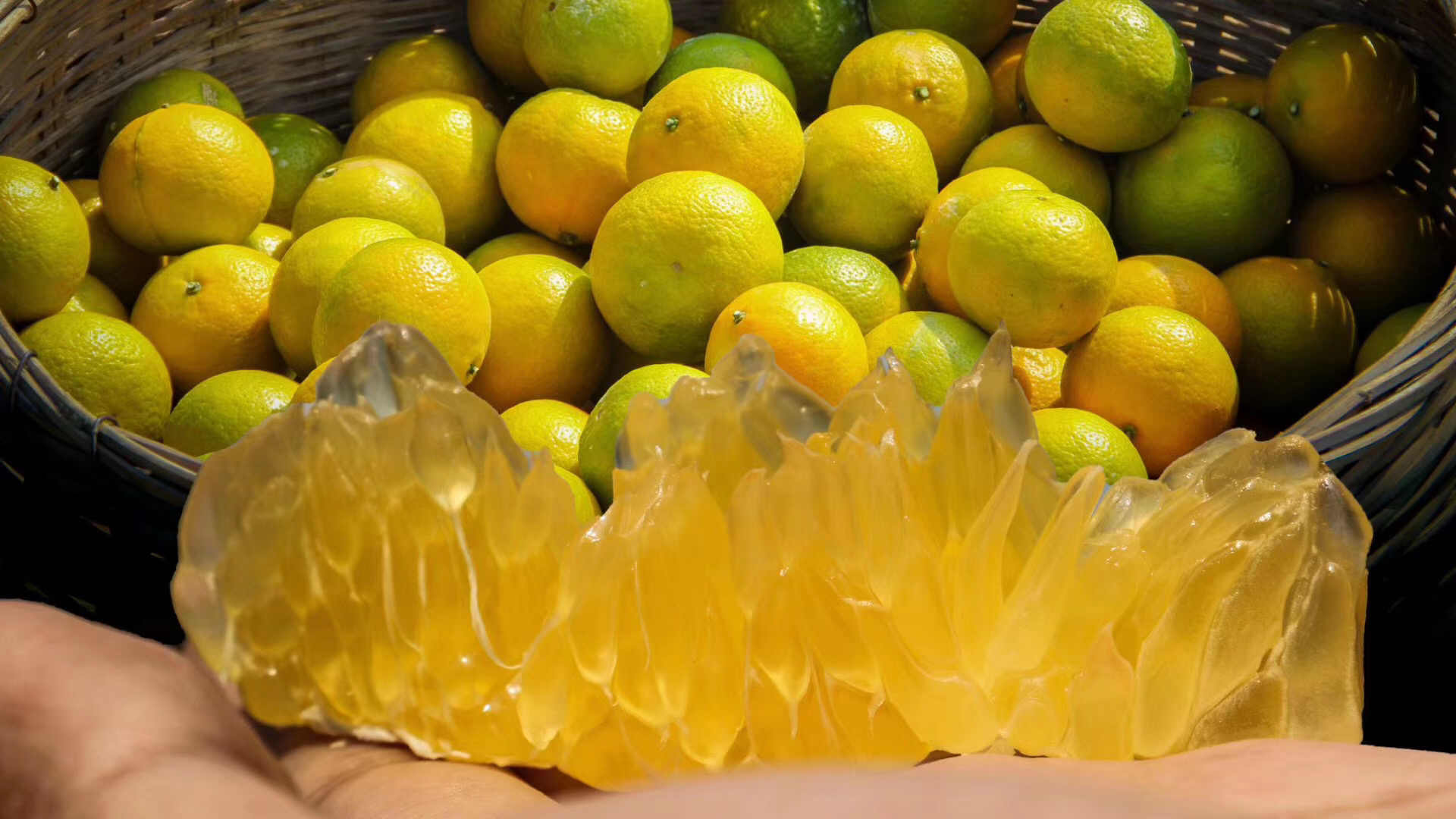 家庭享用皇帝柑场景图