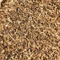白术籽白术种子白术种籽两年生改良白术子白术籽