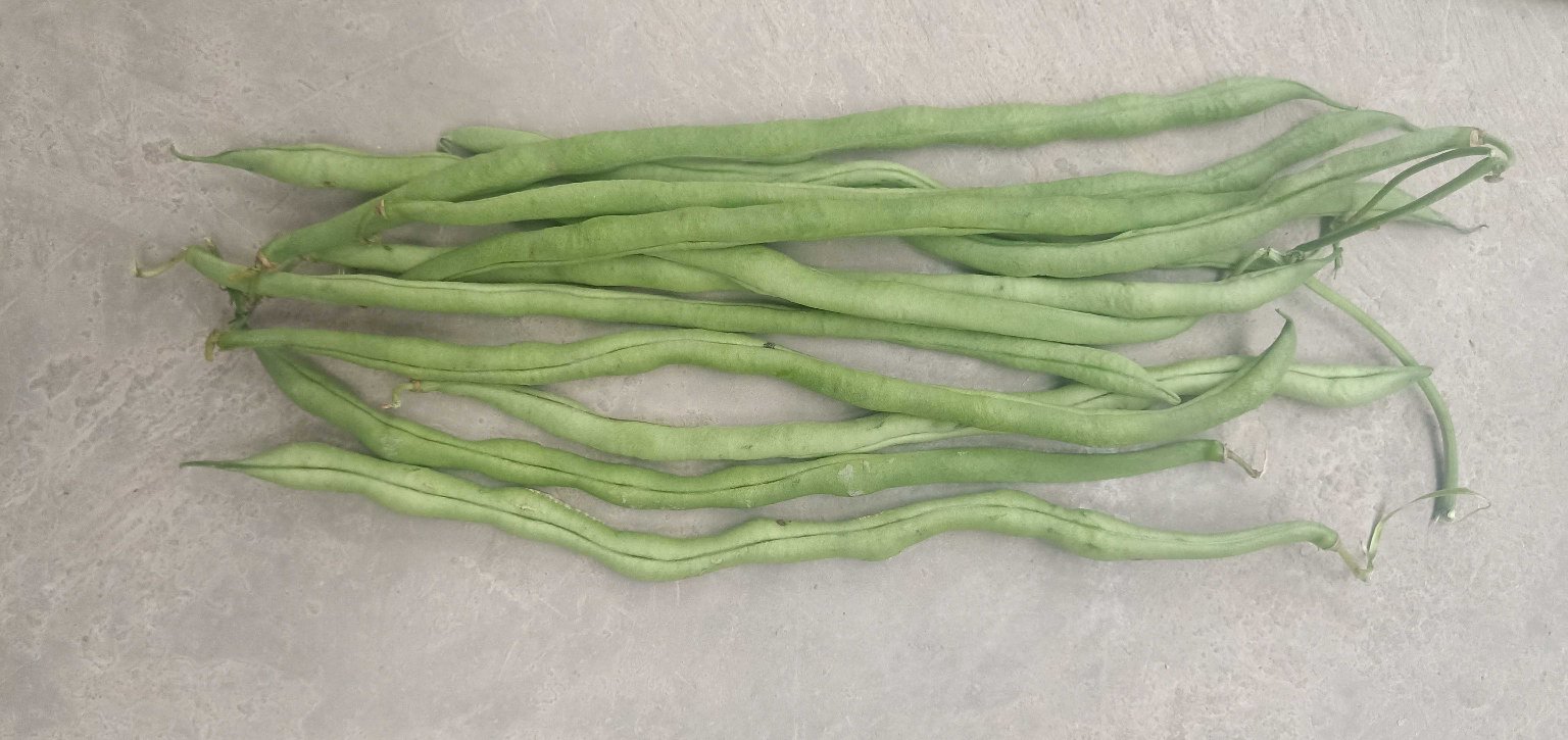 新鲜无筋豆与猪肉摆放在案板上,背景为厨房环境 新鲜无筋豆与猪肉摆放在案板上