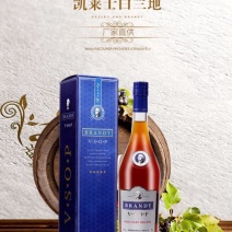 洋酒，果酒低价白兰地，酒水批发定制微商代发直播代发