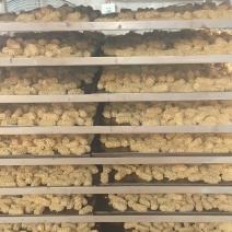 厂家直销燕麦酥，猫耳酥，小麻花等酥饼
