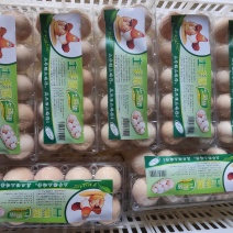 天竺山土鸡蛋10枚