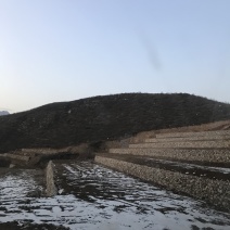山地出租或者合作