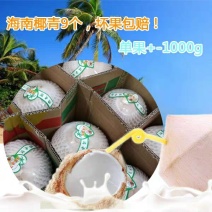 热带新鲜水果海南特产椰青去皮青椰子9个装大果全国包邮