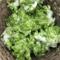 儿菜