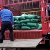 优质半夏种，自己基地生产！品种优良，价格美丽！干净无杂质