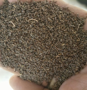 00元/斤 - 一亩田