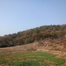 山地出租