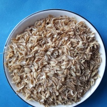 大量供稻壳稻壳粉饲料用稻壳粉栽培基质稻壳粉