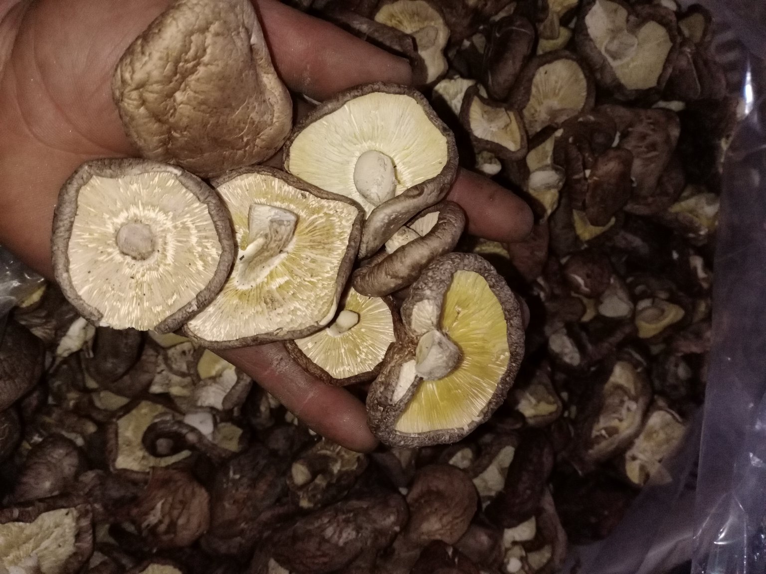 高品质干香菇包装与烹饪应用场景图