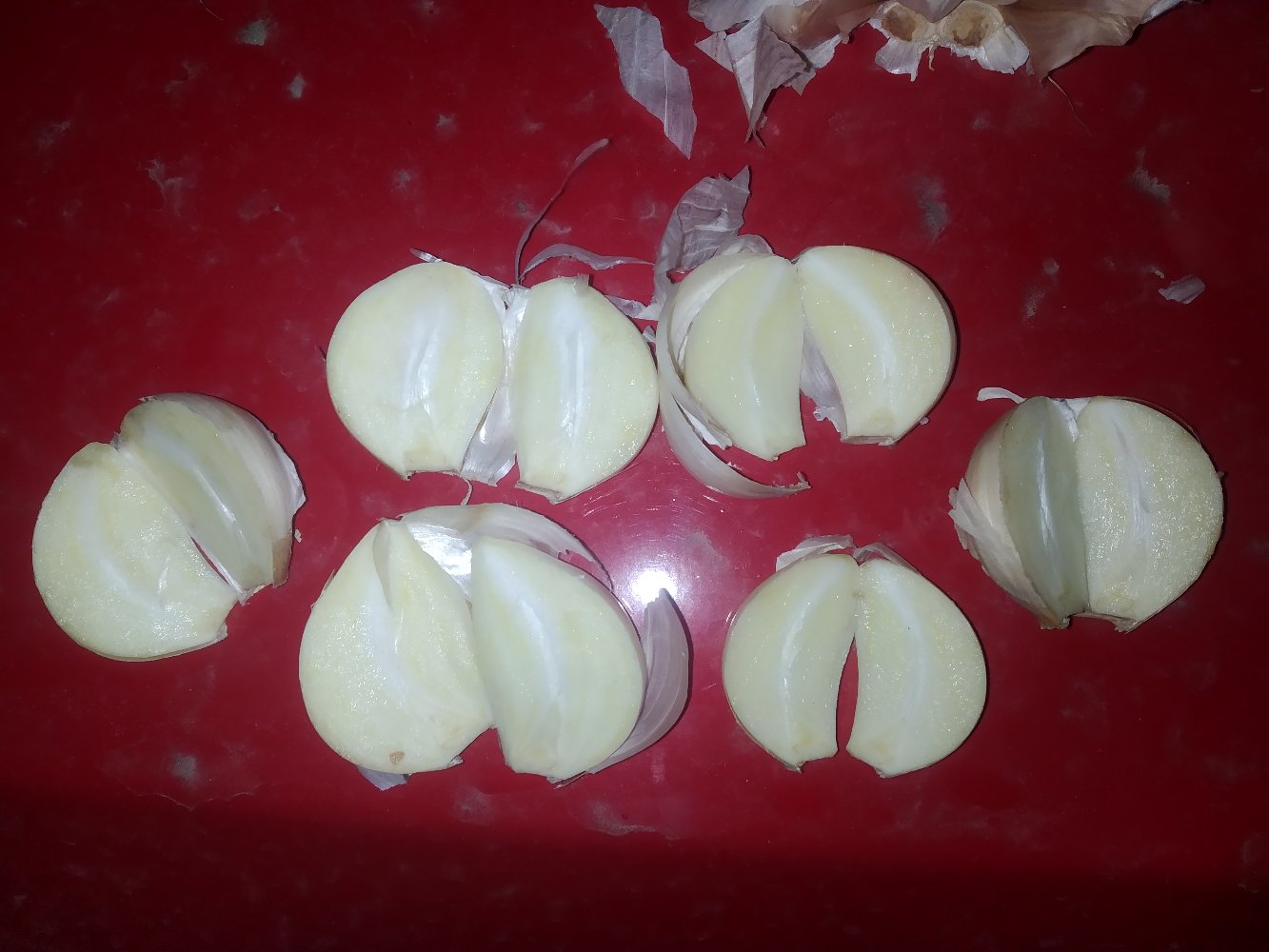 单个剥皮蒜瓣解剖图