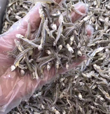 南澳岛农村人精心制作优质饶仔鱼干