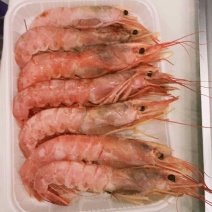 阿根廷红虾