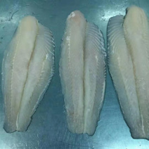 巴沙鱼
