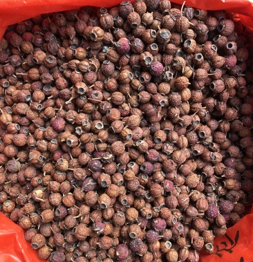 南山楂 中药材山楂豆野山楂小叶山楂新鲜干货一公斤起批