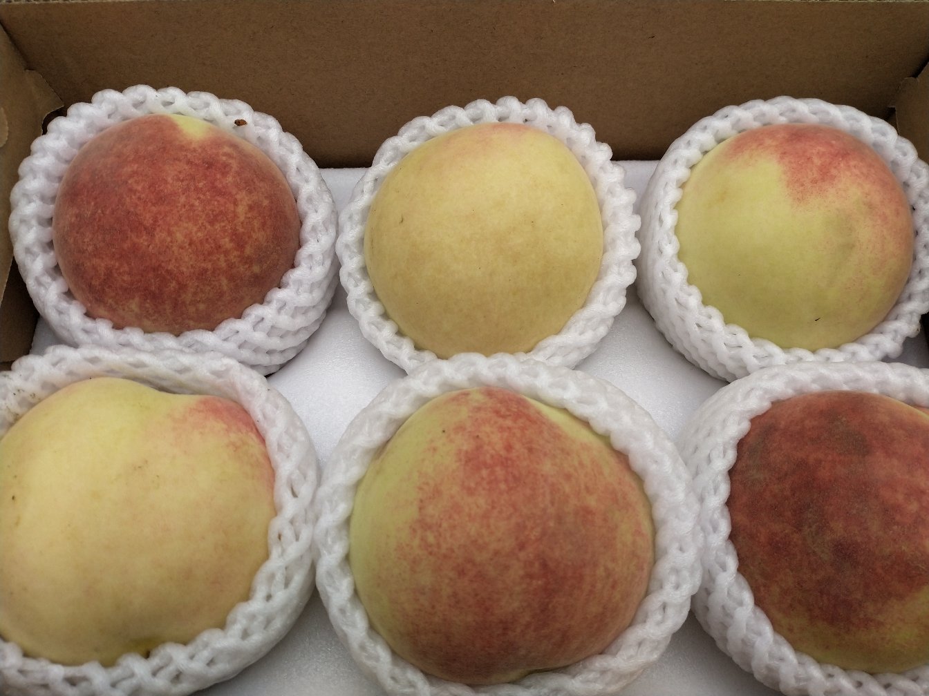 平邑冬桃包装与溯源码展示