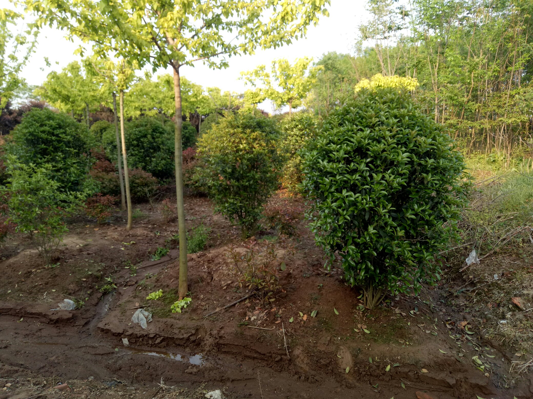 八月桂基地科普长廊与游客互动场景