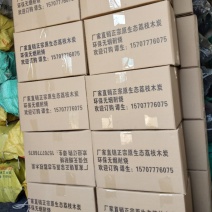 荔枝木炭