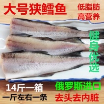 新鲜冷冻无头狭鳕鱼明太鱼低脂肪健身选择饭店专用商用