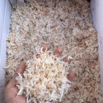 虾皮