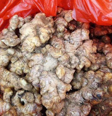 50/斤起批价10000斤产地云南昭通昭阳区物流整车;运费待商议规格1斤3.