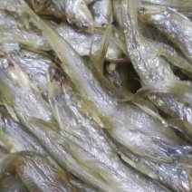 淡水无盐毛刀鱼干，刀鱼，