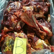 马前腿蒙古进口马肉