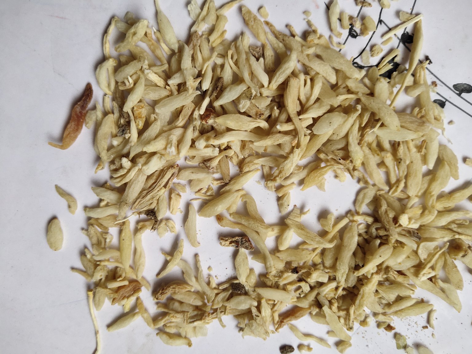 一盘散装干百合,颜色微黄,片状分明 干百合实物图