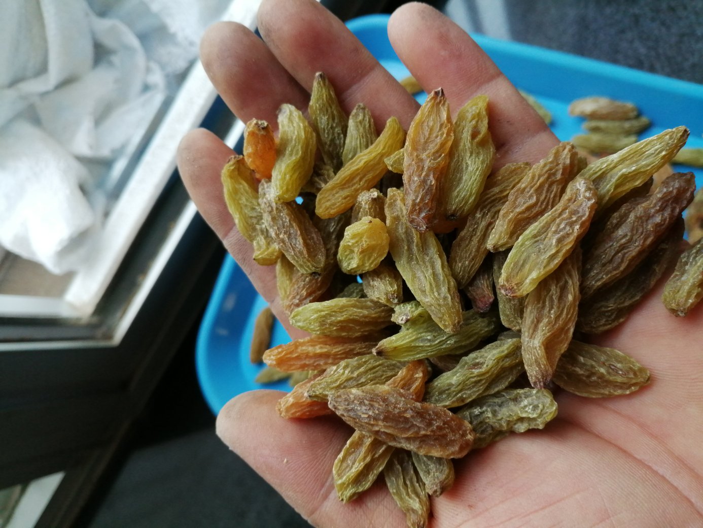 左侧为切开的新鲜红妃木瓜,果肉呈鲜艳橙红色,汁水丰富,旁边配有勺子示意食用方式;右侧为透明包装的琥珀色木瓜干片,表面略有皱缩但保持完整形态,背景为木质餐桌与自然光线,突出两种产品的视觉与质感差异 新鲜木瓜与木瓜干对比图